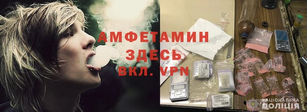 молекула духа Козловка