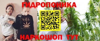 индика Рыбинск