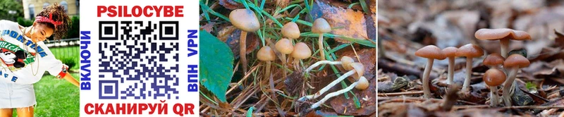 Галлюциногенные грибы GOLDEN TEACHER  Северобайкальск 