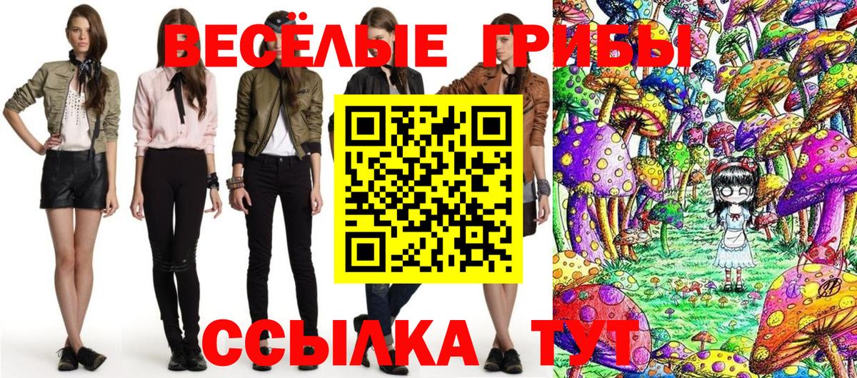 Северобайкальск  Галлюциногенные грибы ЛСД  Вход с VPN  Псилоцибиновые грибы Cubensis 
