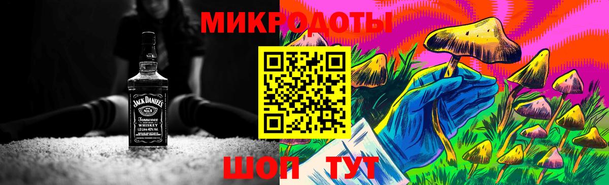 Галлюциногенные грибы Psilocybine cubensis Северобайкальск