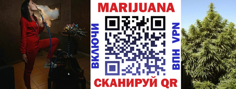 где можно купить   Северобайкальск  Бошки Шишки SATIVA & INDICA 